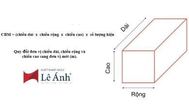 CBM là gì? Hướng dẫn quy đổi CBM trong xuất nhập khẩu