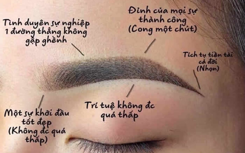 Dựa vào hình dáng của lông mày, người ta có thể đoán được tính cách, số mệnh