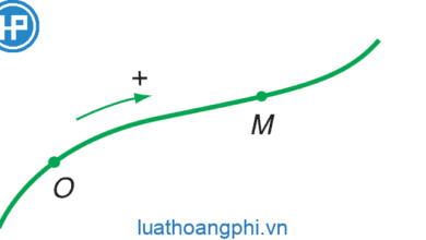 Chất điểm là gì? - Luật Hoàng Phi