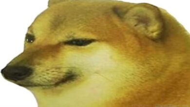 Cheems Meme: Độc đáo và hài hước