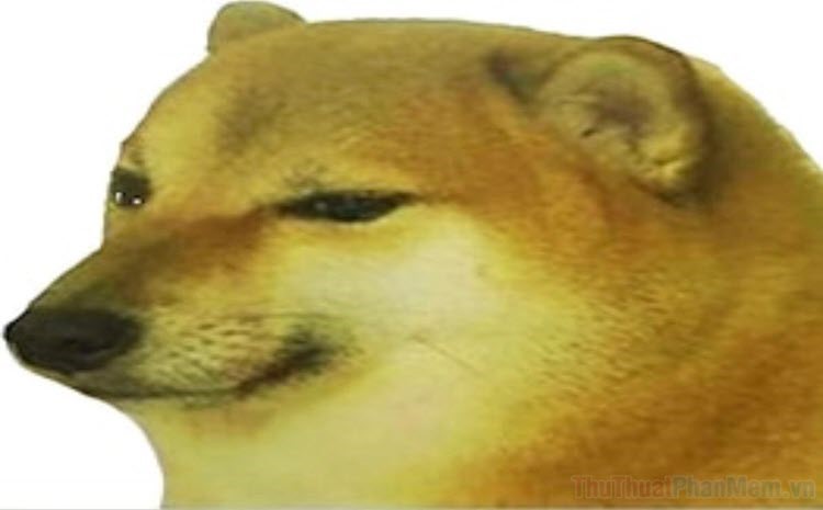 Cheems Meme: Độc đáo và hài hước