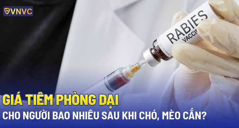 Giá tiêm phòng dại cho người bao nhiêu tiền sau khi chó, mèo cắn?