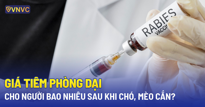 giá tiêm phòng dại cho người