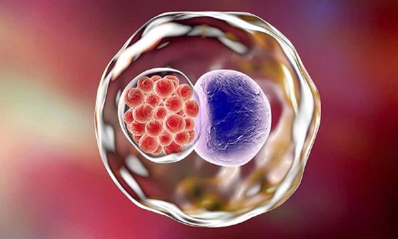 Chlamydia là gì và những điều nên biết về bệnh | Medlatec