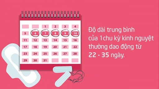 Tìm hiểu vấn đề chu kỳ kinh nguyệt 35-40 ngày của phụ nữ - AiHealth