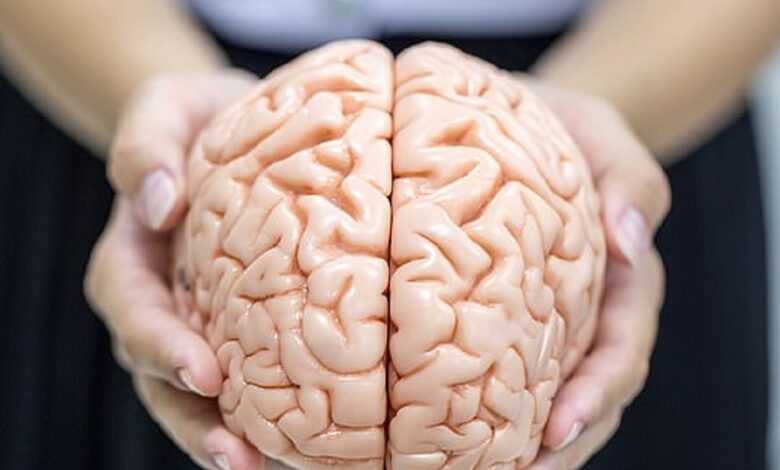Chụp cắt lớp não: Công cụ quan trọng trong chẩn đoán bệnh