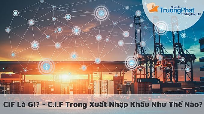 CIF là gì? - Tất tần tật về C.I.F trong xuất nhập khẩu