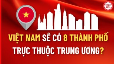 Thành phố trực thuộc trung ương là gì? Các thành ... - Luật Dương Gia
