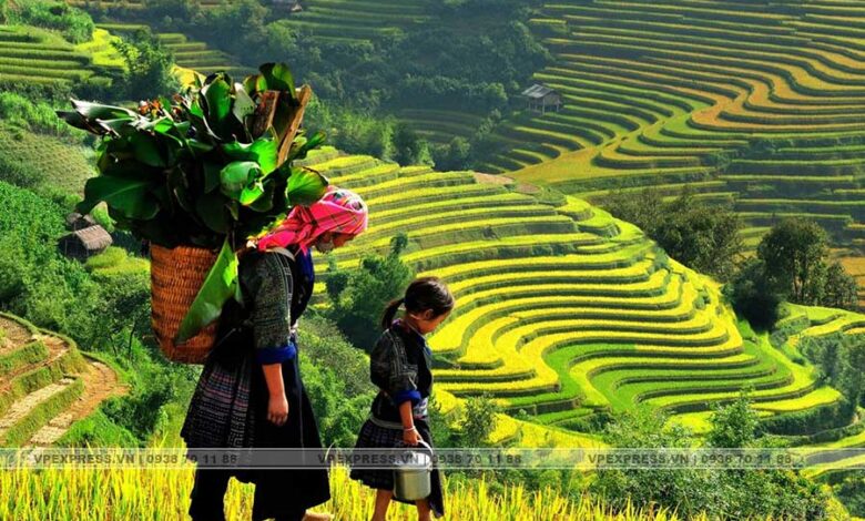 63 Tỉnh Thành Việt Nam. Danh Sách Các Tỉnh Thành Việt Nam 2022