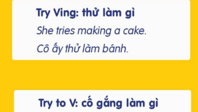 Cố Gắng trong Tiếng Anh là gì: Định Nghĩa, Ví Dụ Anh Việt