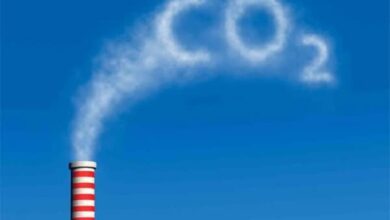 CO2 là gì? Khí CO2 là gì? Ứng dụng và tác hại của khí cacbonic