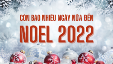 Còn bao nhiêu ngày nữa đến Noel (Lễ Giáng sinh) năm 2022