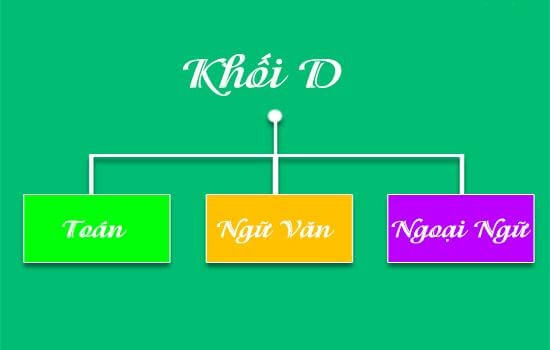 Con gái thi khối d nên học ngành gì? Các ngành hot khối d dành