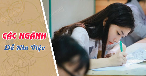 Con gái nên học ngành gì dễ xin việc sau khi ra trường - Thủ thuật