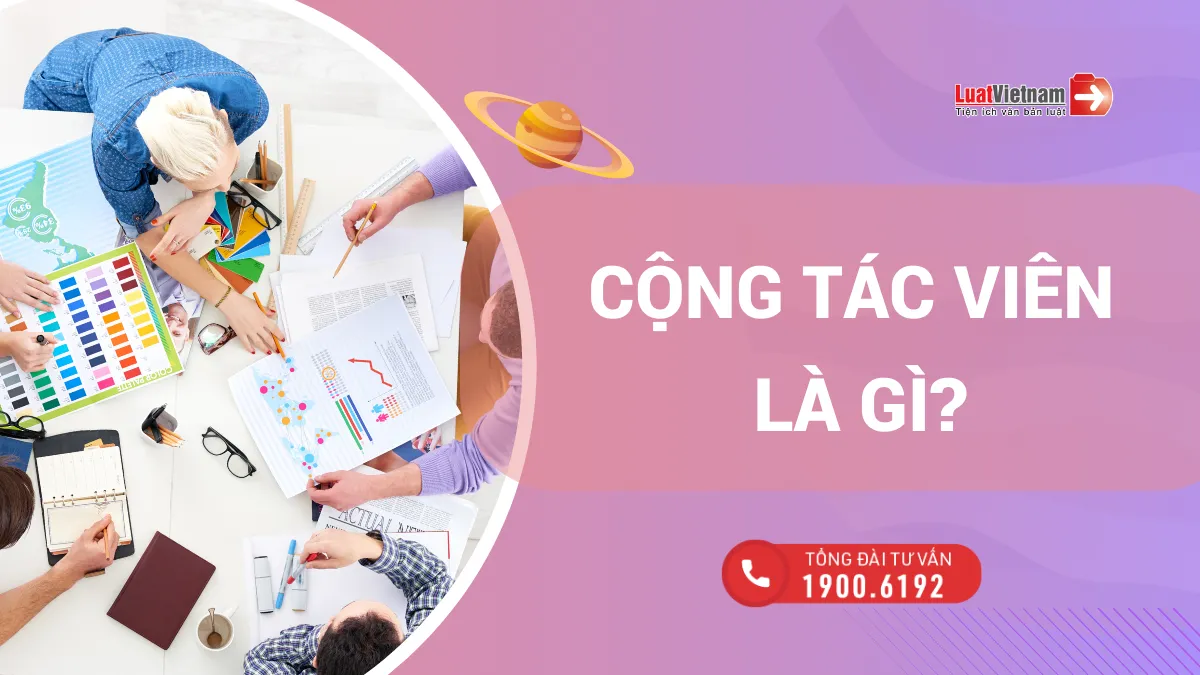 cong tac vien la gi