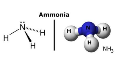 Amoniac: công thức, tính chất, mức độ ảnh hưởng đến chất lượng