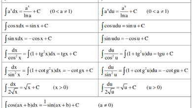 Bảng Nguyên Hàm Và Công Thức Nguyên Hàm Đầy Đủ Nhất & Bài