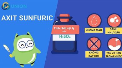 H2SO4 là gì? Đặc điểm tính chất - Ứng dụng Axit Sunfuric