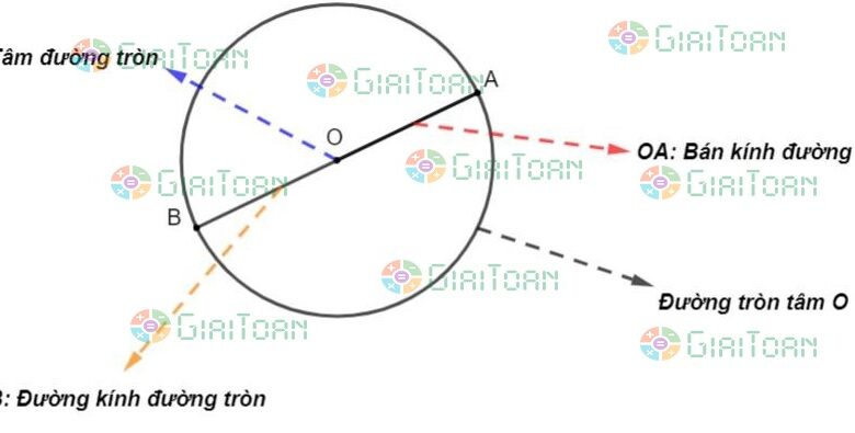 Chu vi hình tròn: Công thức và bài tập - Công thức Toán lớp 5