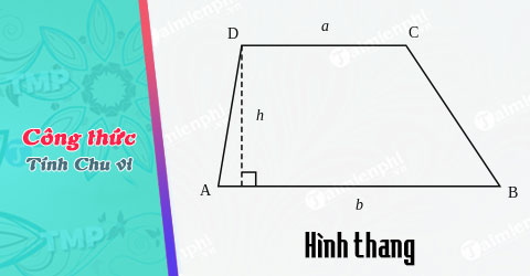 Công thức tính chu vi hình Thang, có ví dụ minh họa - Thủ thuật