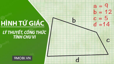 Cách tính chu vi tứ giác