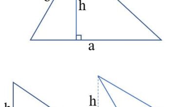 Công thức tính diện tích tam giác, hình thoi, hình vuông, hình chữ