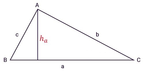 Cách tính diện tích tam giác vuông, cân, đều, thường - Trường Trung Cấp Việt Hàn (VKI)
