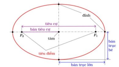 Hình Elip là gì? Cách tính thể tích, diện tích, chu vi hình Elip