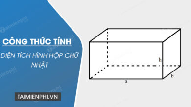 Công thức tính diện tích hình hộp chữ nhật, có ví dụ đi kèm - Thủ thuật