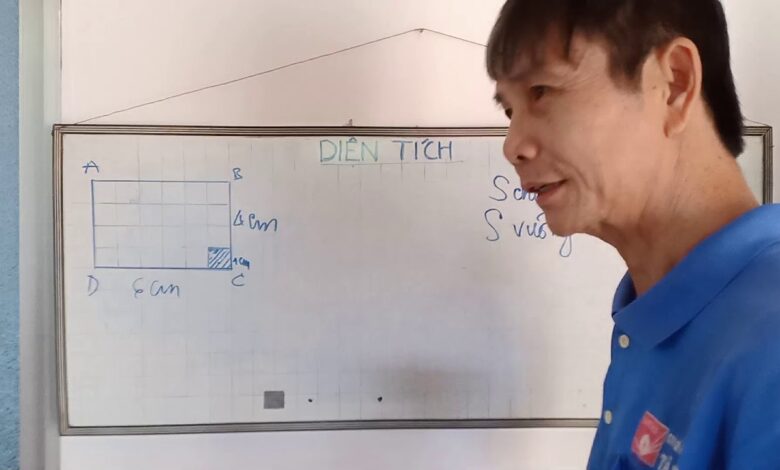 Cách tính diện tích hình tứ giác [Toán tiểu học] - Babelgraph