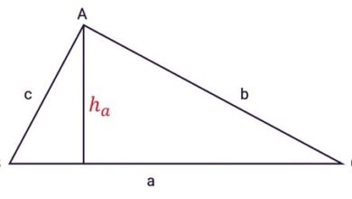 Công thức tính diện tích tam giác đều, vuông, cân có VD