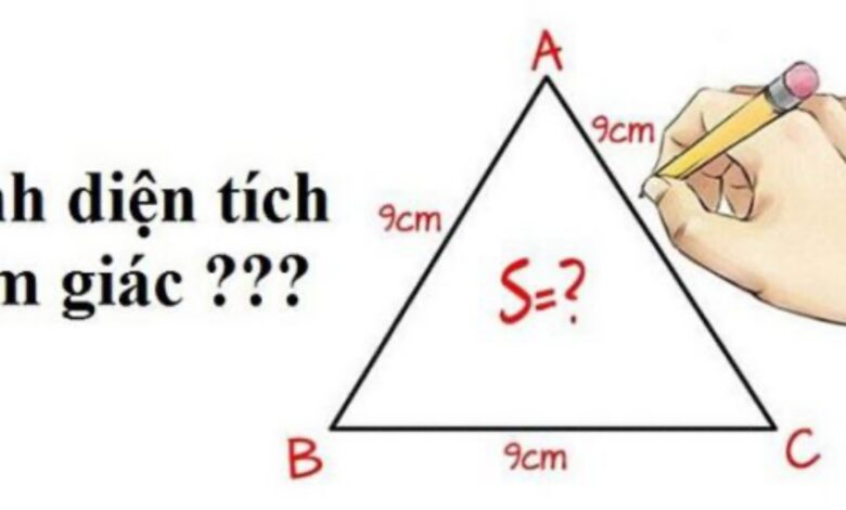 Công thức Diện tích hình Tam Giác & Cách tính đơn giản 2023