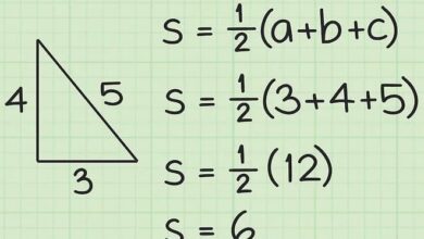 Diện tích tam giác: Công thức tổng hợp chương trình lớp 5, 10, 12