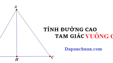 Công thức Tính đường cao trong tam giác vuông cân chuẩn nhất 2023