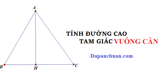 Công thức Tính đường cao trong tam giác vuông cân chuẩn nhất 2023