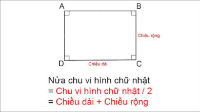 Công thức tính nửa chu vi hình chữ nhật có bài tập minh họa