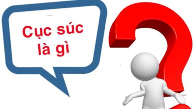 Cục súc là gì? Cục súc hay Cục xúc [Giải nghĩa Hán Việt]