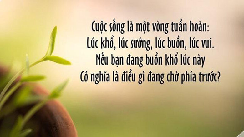 Cuộc sống là gì? Ý nghĩa thực sự của cuộc sống