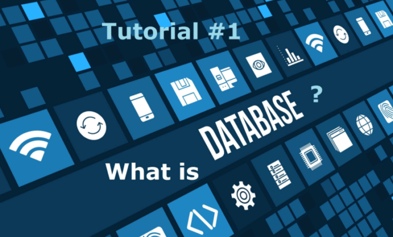 Database là gì? Các kiểu Database phổ biến và ứng dụng - TopDev