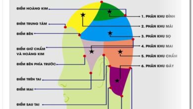 Kĩ Thuật Cắt Tóc Cơ Bản Chuẩn Chuyên Nghiệp