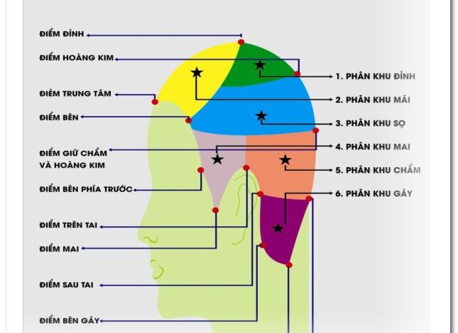 Kĩ Thuật Cắt Tóc Cơ Bản Chuẩn Chuyên Nghiệp