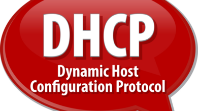 DHCP là gì? Tìm hiểu về DHCP? - TOTOLINK Việt Nam