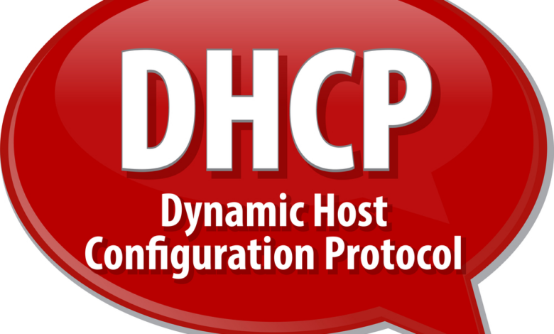 DHCP là gì? Tìm hiểu về DHCP? - TOTOLINK Việt Nam