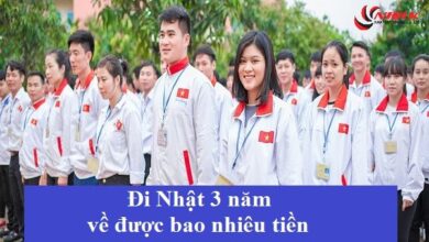 Đi Nhật 3 năm về được bao nhiêu tiền sau khi trừ hết chi phí?