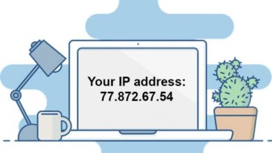 IP là gì? Cách xác định địa chỉ IP trên máy tính - TOTOLINK Việt Nam
