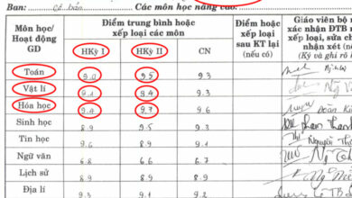 Điểm trung bình môn dưới 3,5 có phải thi lại không? - Seoul Academy
