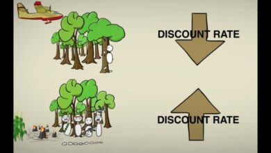 Discount là gì? Định nghĩa, ví dụ và các thuật ngữ liên quan