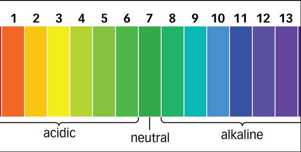 Độ pH là gì? Cách tính độ pH & Độ pH của một số dung dịch