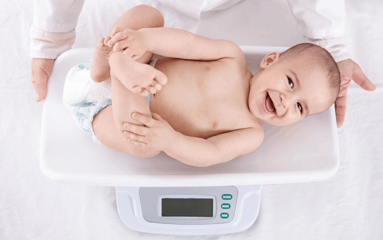 Đồng hóa và dị hóa: Sự khác biệt nào đối với cơ thể? - Hello Bacsi
