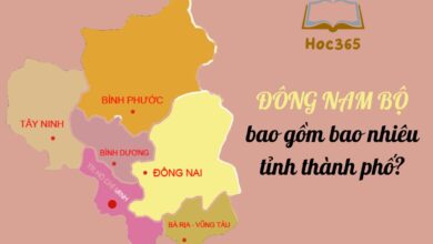 Chi tiết nhất: Đông Nam Bộ bao gồm bao nhiêu tỉnh thành phố?